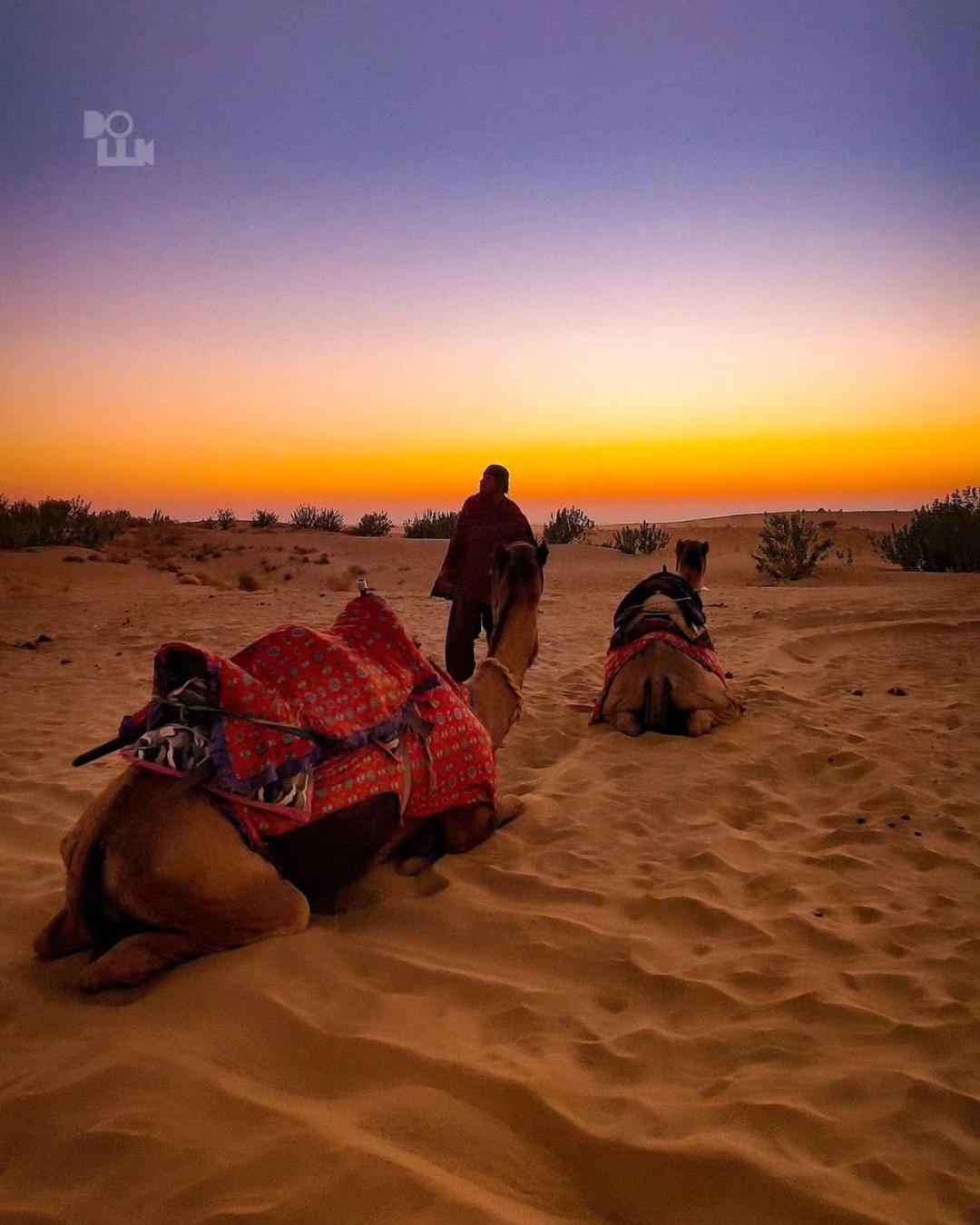 Mirvana Guest House & Camel Safari Jaisalmer Esterno foto